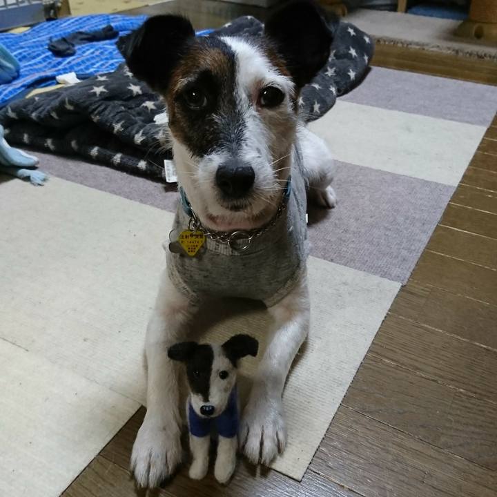 E2752885 c752 4338 b2dc 19dc0b0c77e4 1561549663696