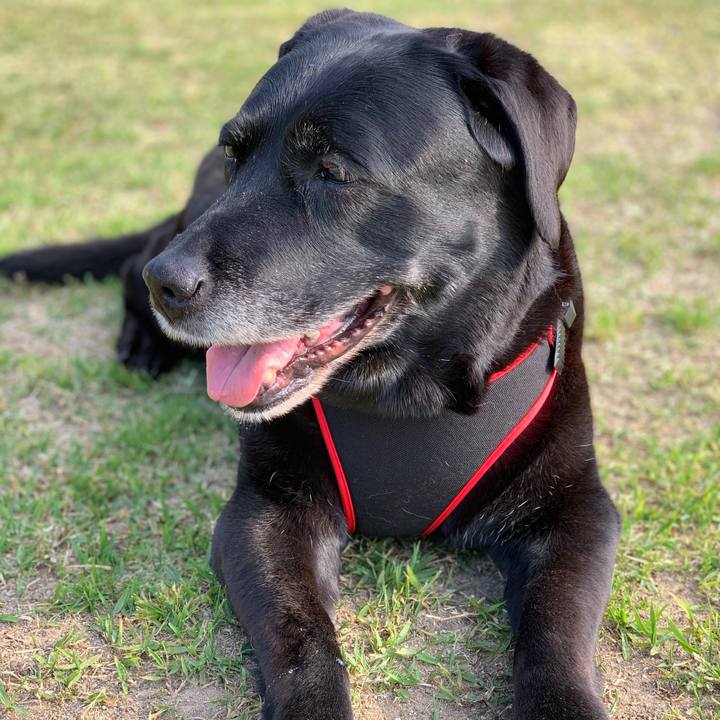 E2752a7d 9664 48fb 93d3 4cb8d42c03d9 1556324645471