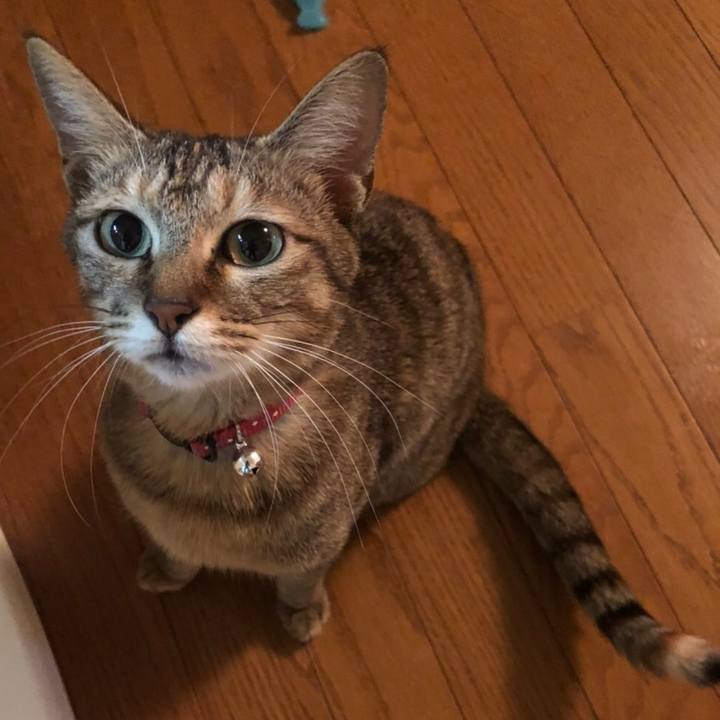 E27539b6 94f8 410a a128 6d40279ea2cd 1580733337448