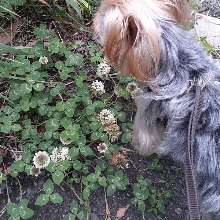 E2754adf 4a9b 4bf4 bf73 77d50a7ce7a1 1620461250343