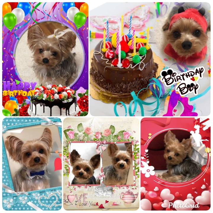 E275563d 646f 4502 9b93 94254966be5c 1580098019992