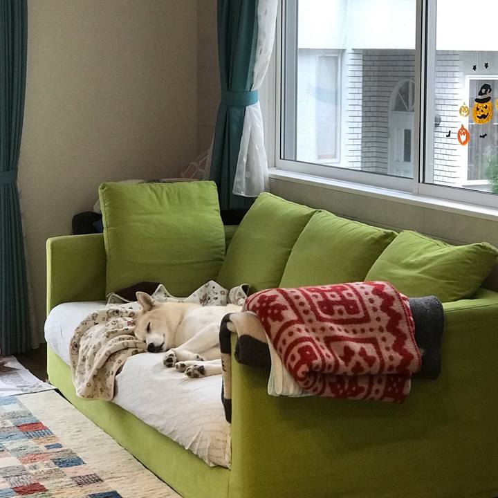 E2756bf6 6822 45f5 a021 1e2f3664de18 1638753694884