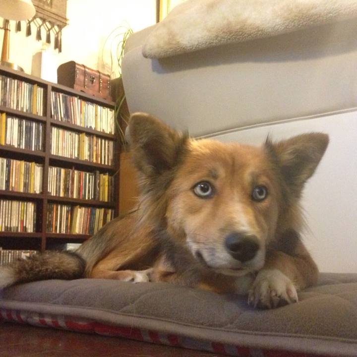 E2756e77 398a 4257 9662 259a37eaffd9 1563125282778