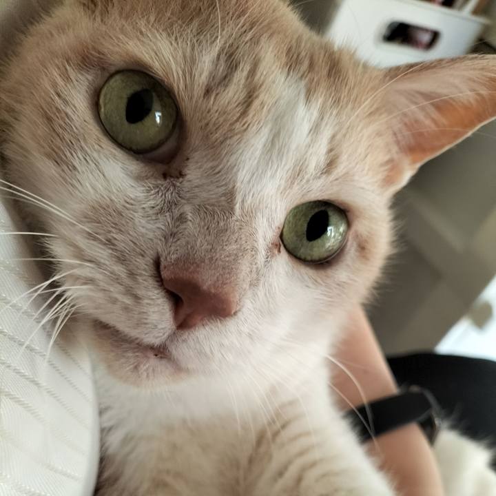 E2759852 5f76 4d7a 8fa0 ef68854beb07 1638916379687