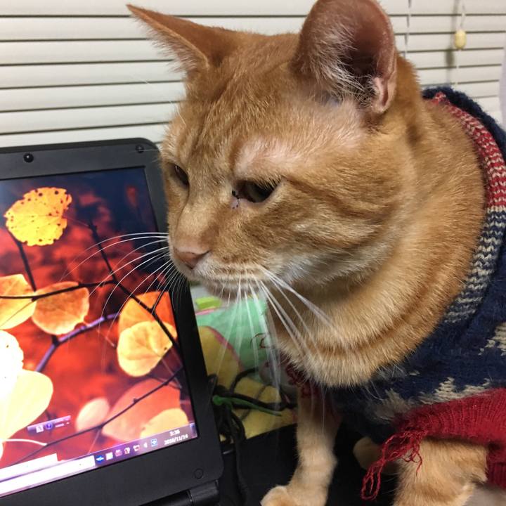 E275a839 5c4b 4f73 a533 31458e9e092b 1542142114184