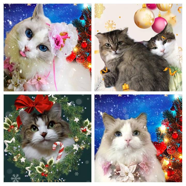 E275c12c 658f 4c41 8f05 669b5c80c19c 1640249339962