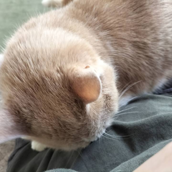 E275f342 25a7 4e1b 9bc8 af9171efa5e5 1637370515549