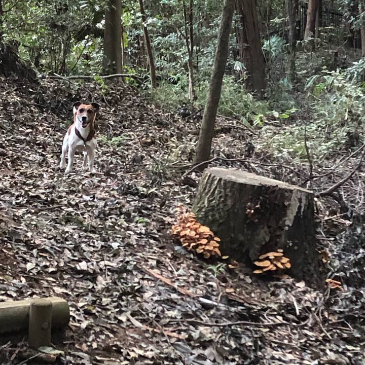 E2761479 bef3 4086 88d0 1dd79dab9ac0 1568935150207