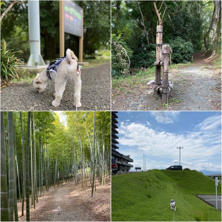 E276176d 132c 4ac8 884a 305614b1fd28 1601713149448