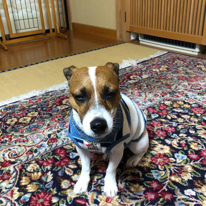 E2763180 bc44 4c70 adb6 5ea22eab188a 1602205581736