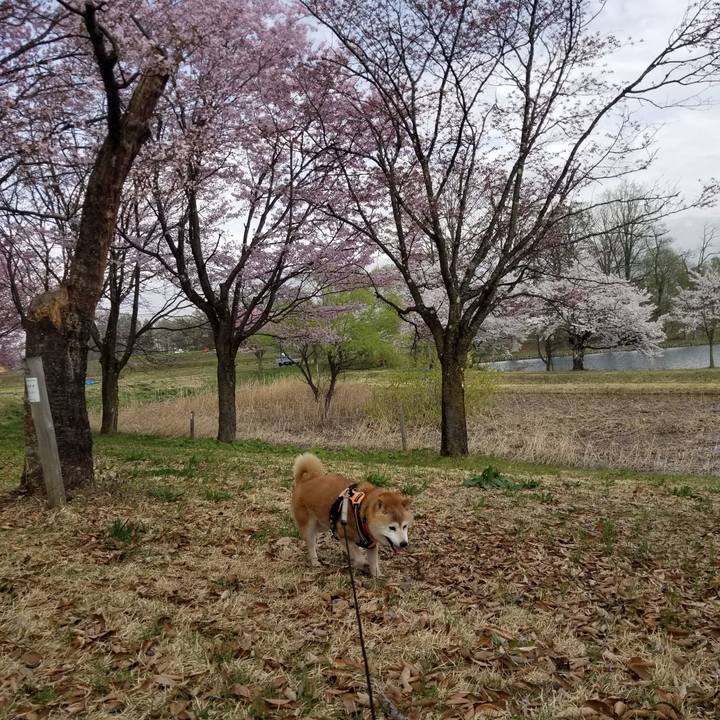 E2766d38 6d88 4a14 9fde 32828ae545d4 1713340101548