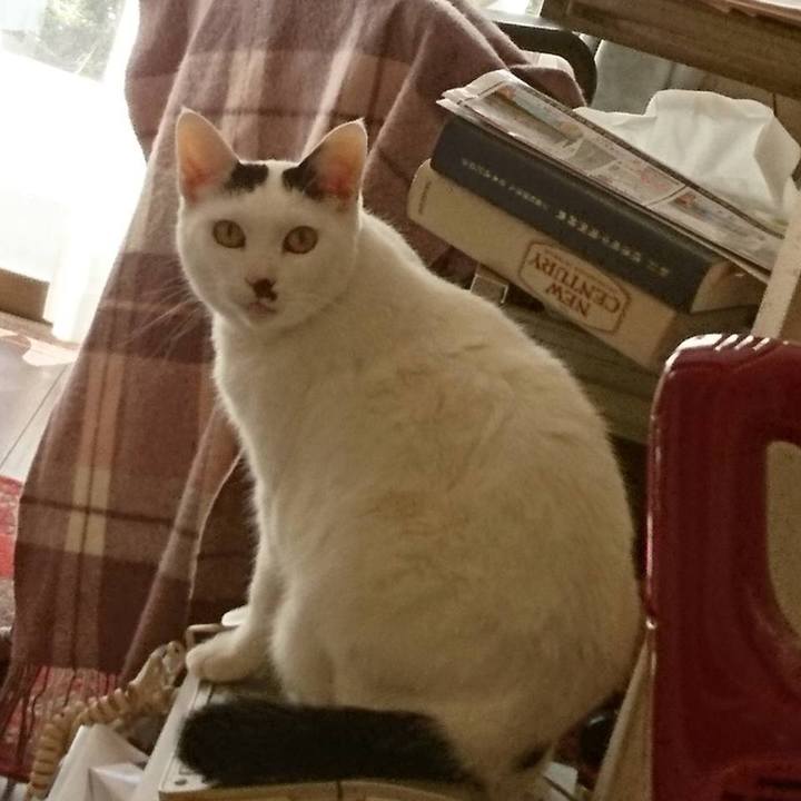 E2769159 771f 4af7 af6b 65e8413ab432 1608533590418