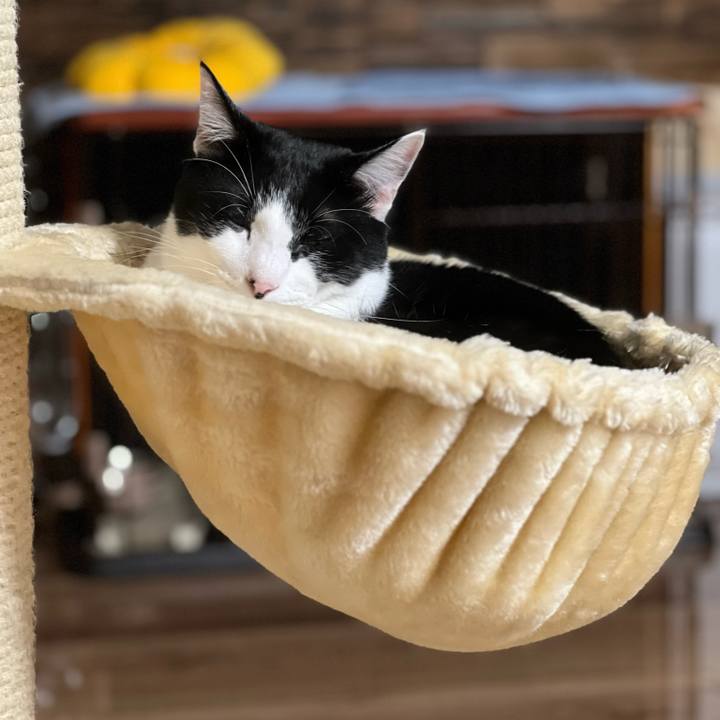 E276b437 4245 42ab 9cbe cbca07bb5a62 1665401090401