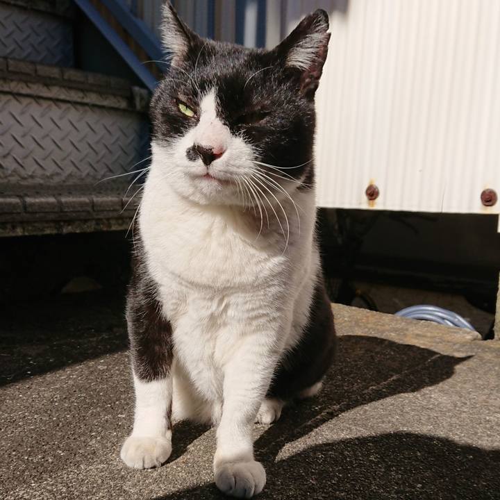 E276c28b 815b 4131 9eb7 07949643d127 1547436044223