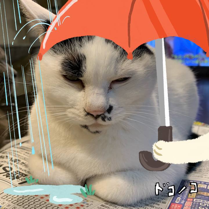 E276c937 245f 42dc a507 5ce6e1583469 1749615612947