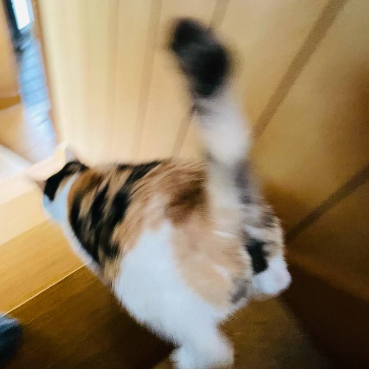 E2772b31 5b91 4b48 a4fd a2a193eacd25 1644199731412