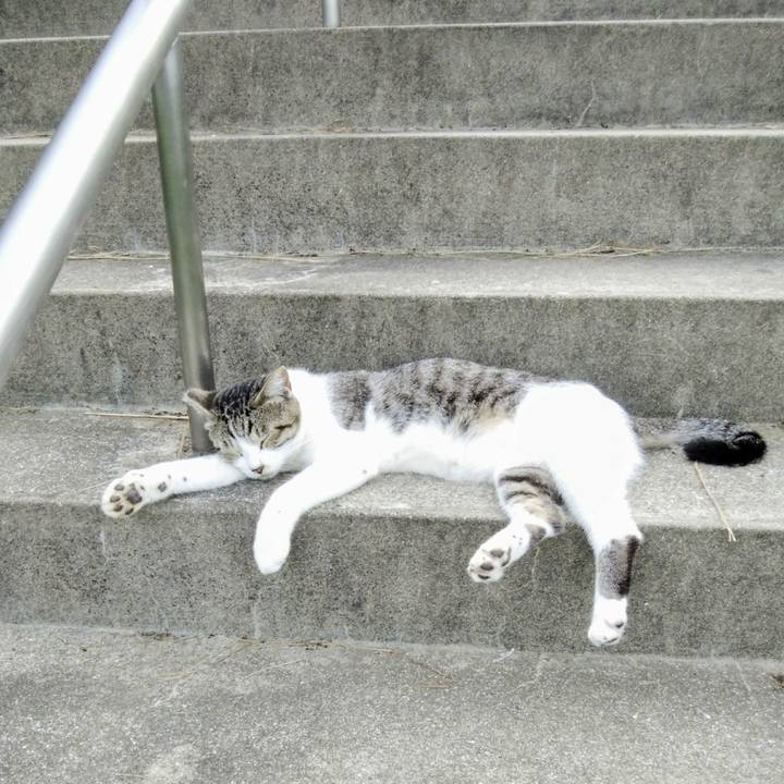 E2772d99 1725 4f88 b35e 5e3736d059c1 1536319418266