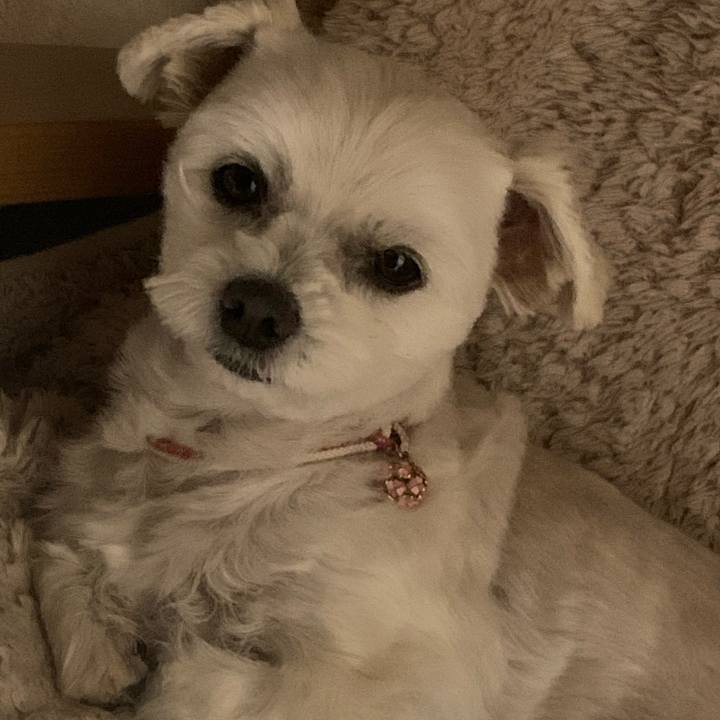 E2774d52 ecb6 4c51 88c1 191a18e6c6e8 1608899680872