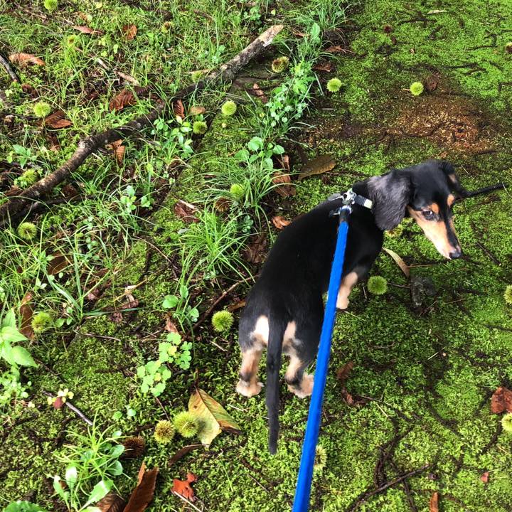 E2775e88 7b2c 4100 a914 1bd8479e4365 1534370678975