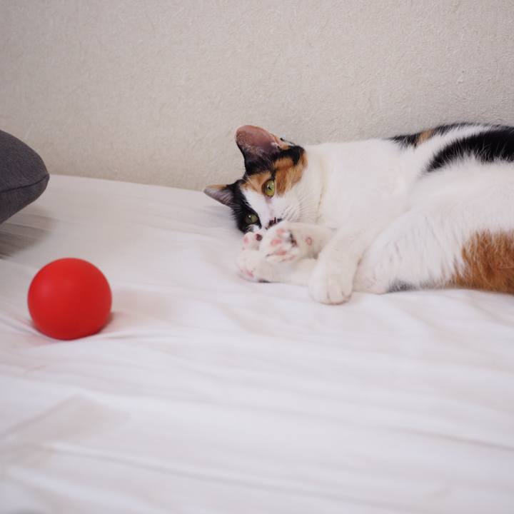 E2778c57 9975 43b5 b686 153b34a53f1b 1535931881538