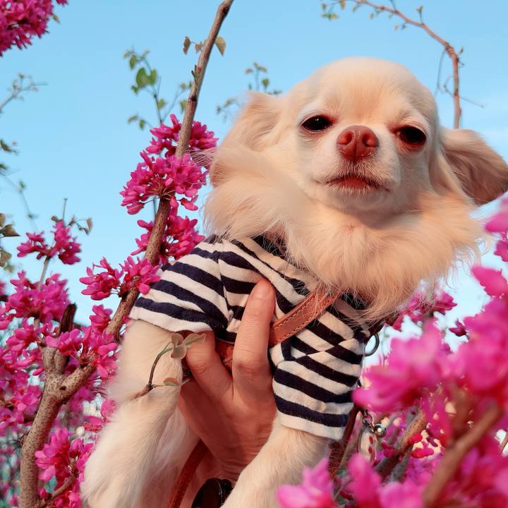 E2780d33 d274 4d86 9618 eb5e66336338 1712739306286