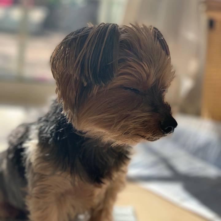 E27823b6 b1ea 4929 9258 2b7df8d55f28 1606622726492