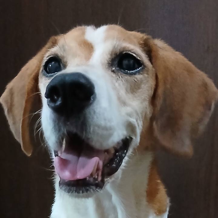 E278255c cb7c 451e b429 6b3638811c04 1759721604150