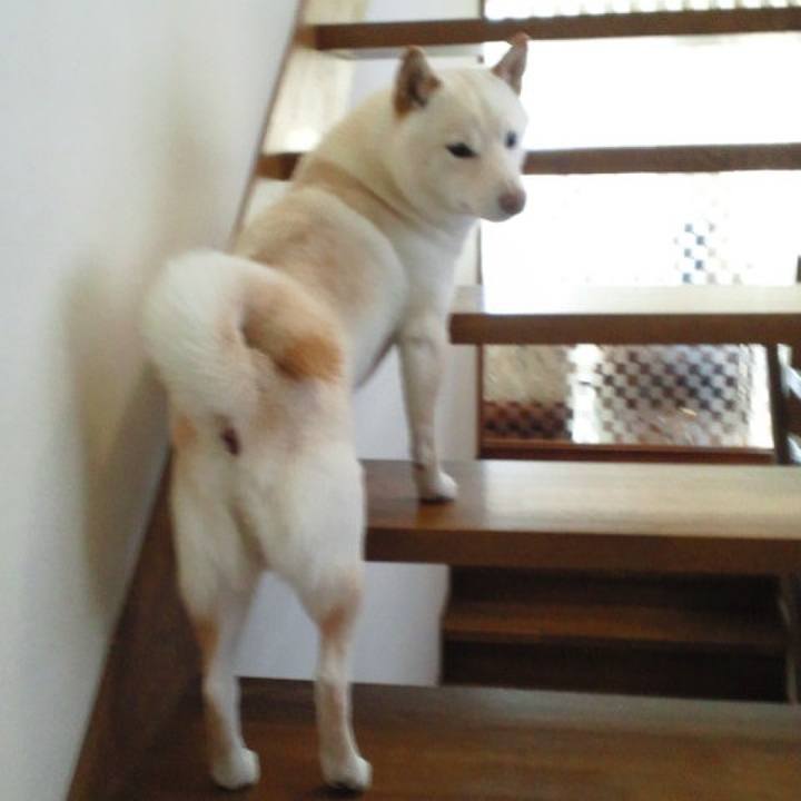 E2782a06 892b 4d5c 81d9 83d42f5aec43 1648293564883