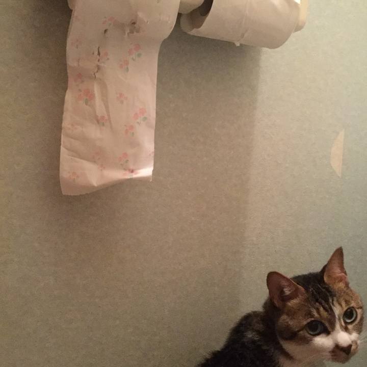 E27846ff 22db 4204 9e21 5177236575ab 1593008658117