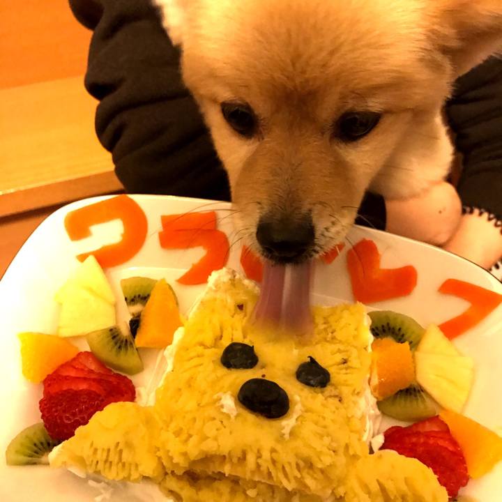 E2789edc d7bb 4b5c 8b8c acdfeb72ed6d 1581399074826