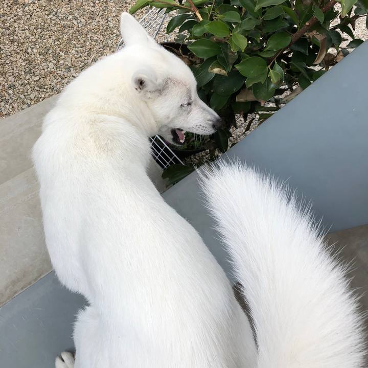 E278cbf0 b644 4dec a9db f18a67cd533f 1520912218984