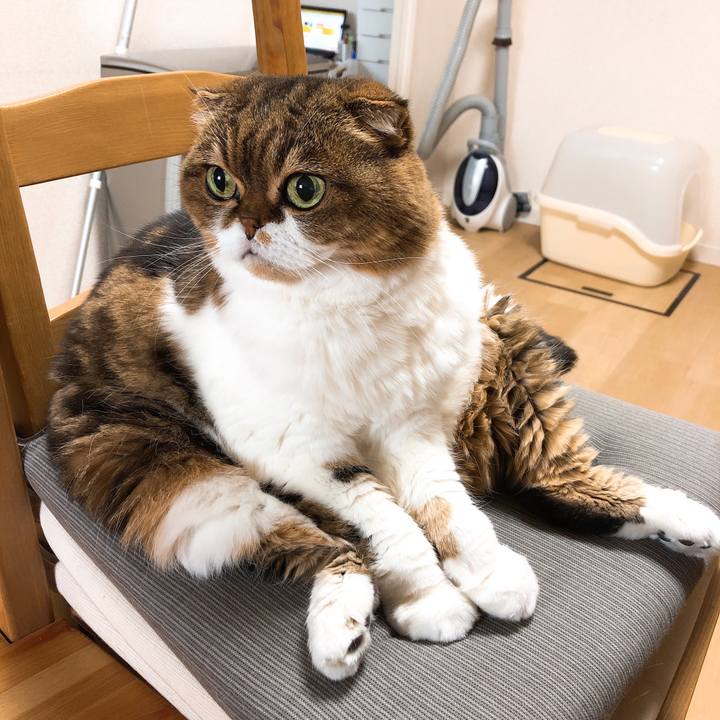 E278da14 8d52 4f84 a186 44bad461a3c1 1546738235489