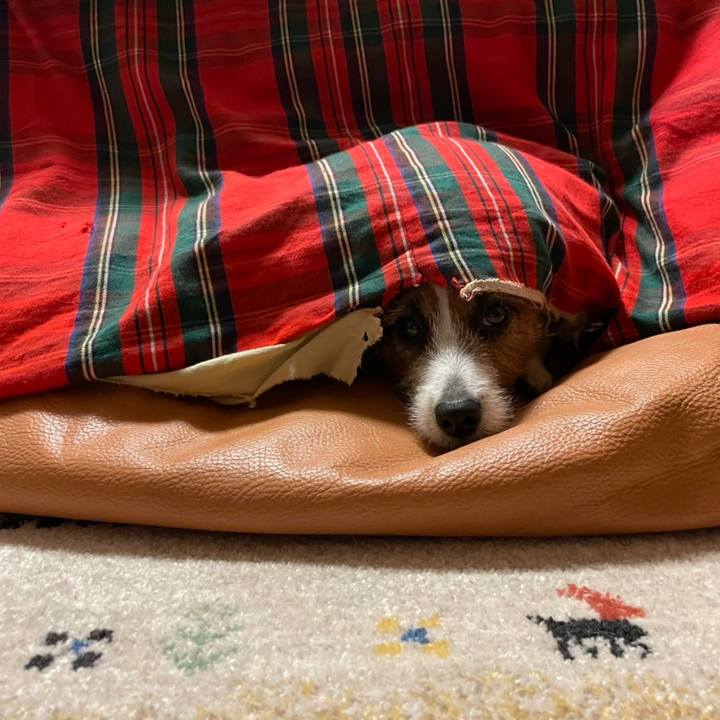 E278fd43 6ab2 4aed 9ed4 9370c6a2b0e2 1672922873221