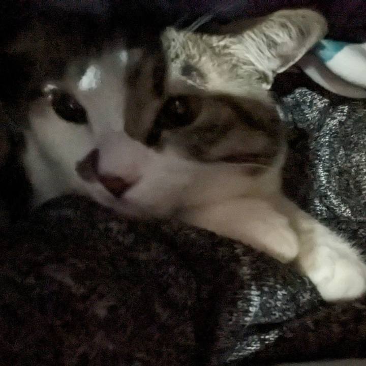 E2790eef 8834 474d a218 826e2338d684 1709726452227