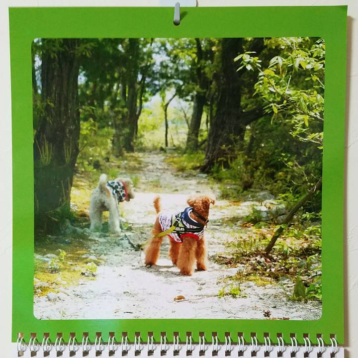 E27924f6 c75b 496b 9fee 287cb45844cc 1525127179704