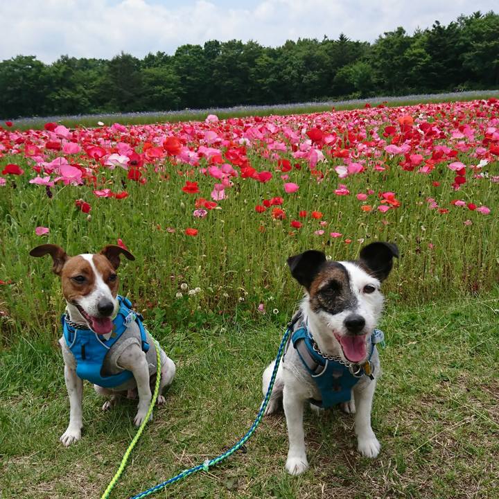 E2793f7f 2606 4dd1 9b22 4091a1093ee5 1560912833570