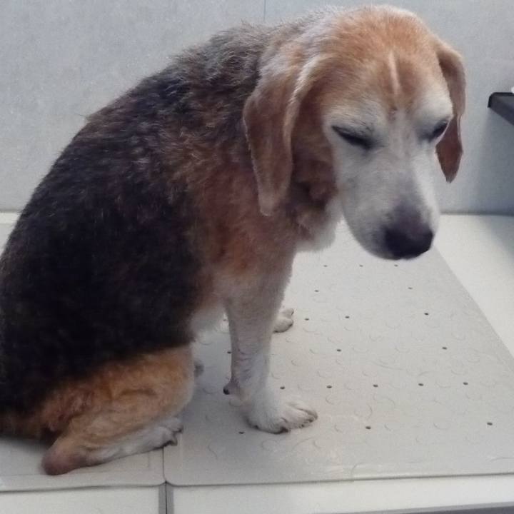 E2794a4b 628f 4be4 a991 d56099bc39f8 1698799761393