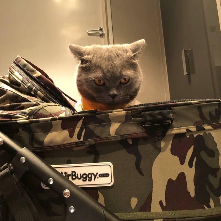 E2795b2b 0dc6 4f75 a35e 34ed93d463d6 1525171664540