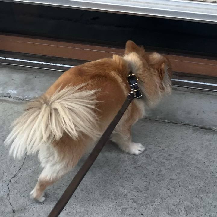 E2797fc7 a1a9 4f3d b410 b4dd74a87e63 1773234878897