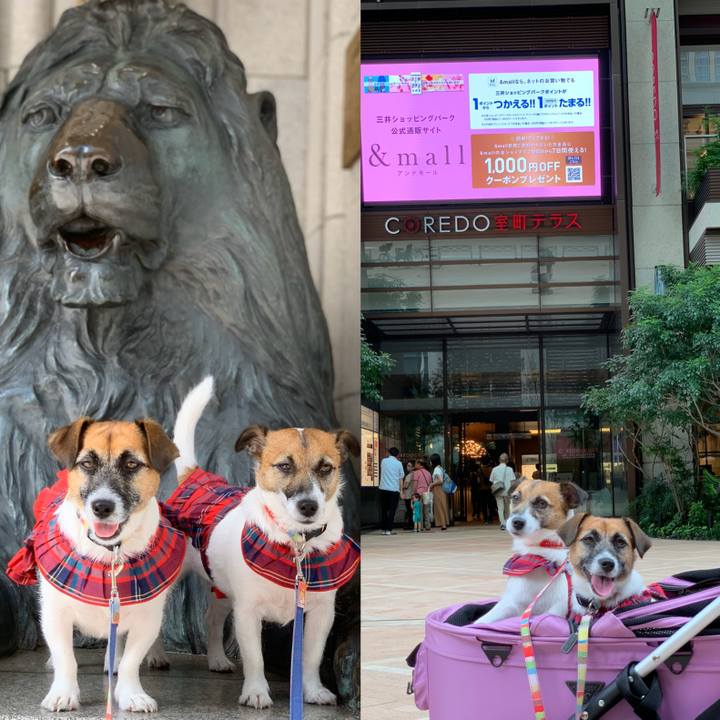 E2798359 0d9d 4bab b6f8 858600dd6770 1569756719215