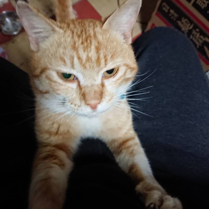 E279a4f7 2b4a 4968 b701 d363d046cde7 1556137345805