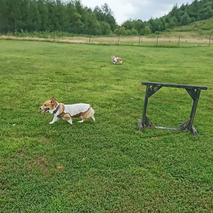 E279a6f4 5451 44e0 a892 988715a4d9e9 1535684264983