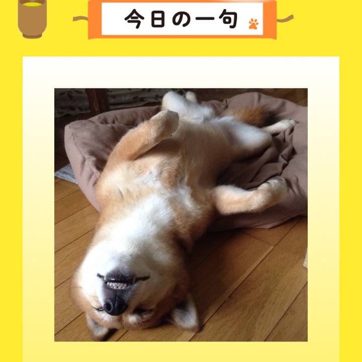 E279b494 be78 44c2 831c e329a72b5c2e 1532694426752