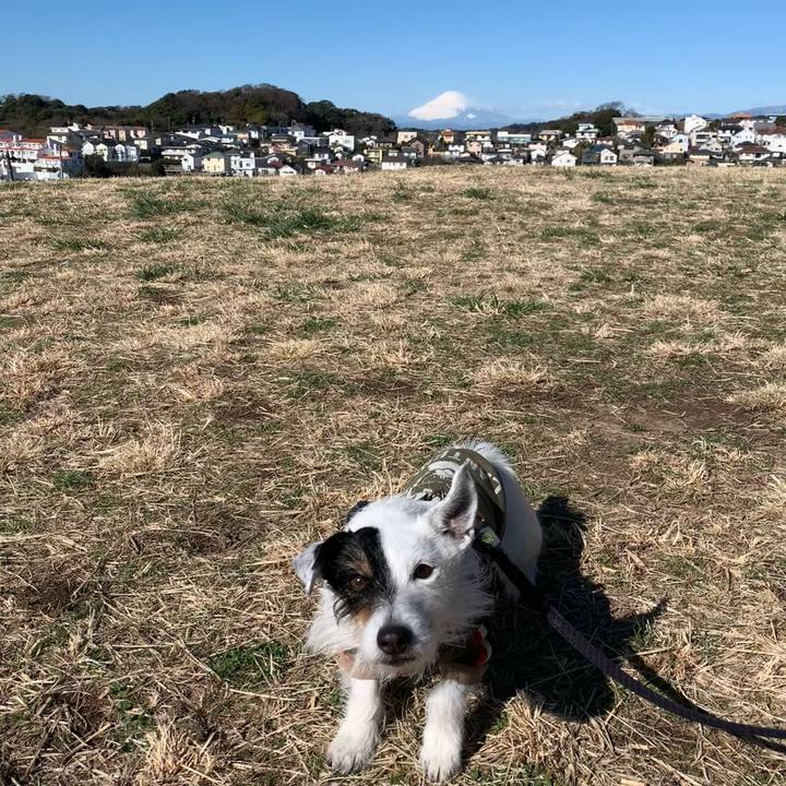 E279c79f cad3 4379 a491 5a2ff779bb44 1708995596455