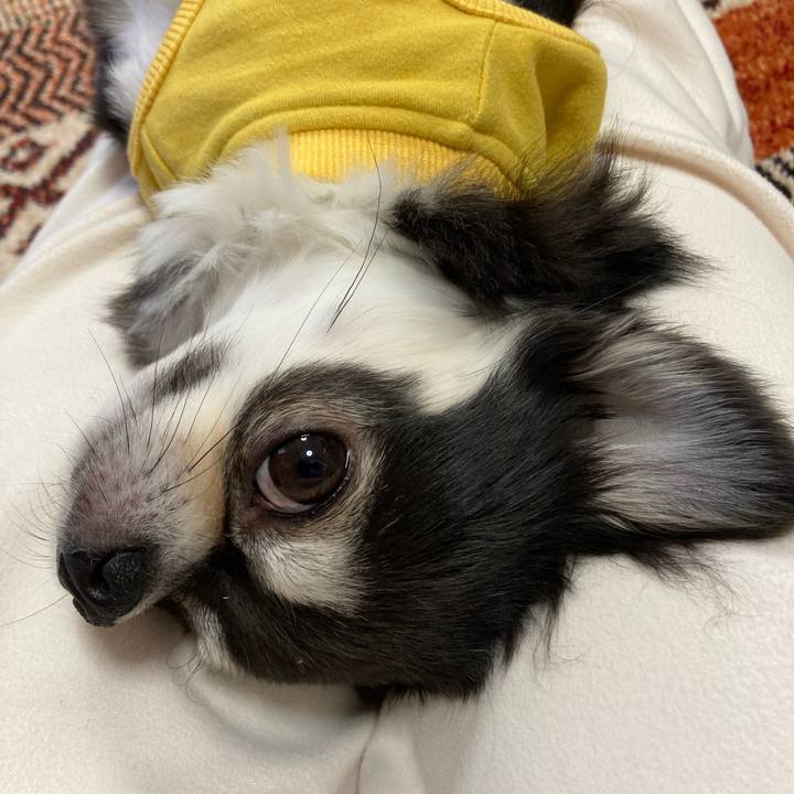 E279dfc5 4e9f 47be 8233 0427bb7a12be 1674398821089