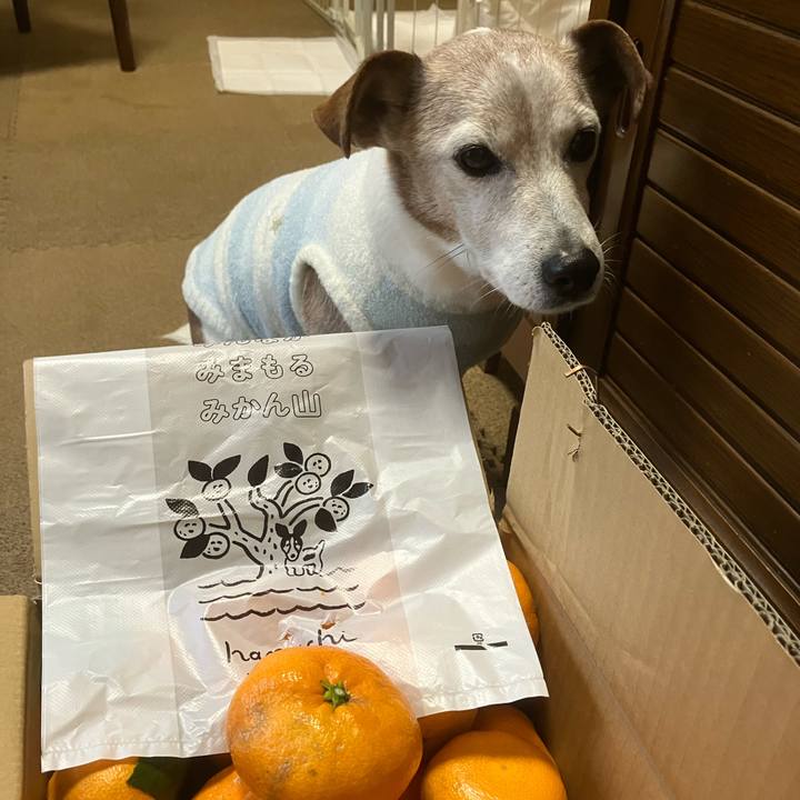 E27a1546 7b24 47e6 a879 f92df95ce9ba 1765716799696