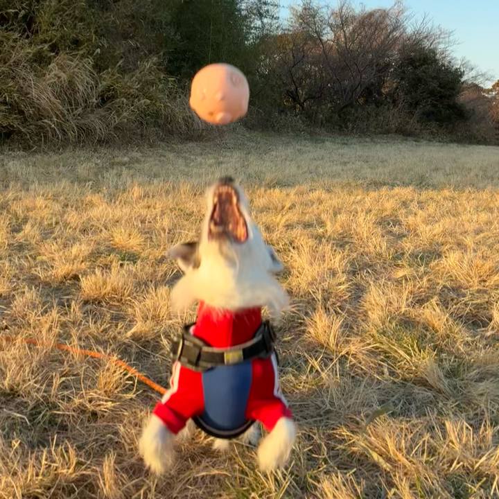 E27a196b 431d 4ef1 aad3 4351c648d789 1768549763137