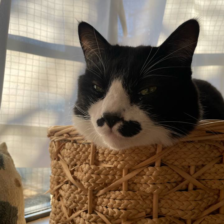 E27a3e9e 0fd8 4b06 a756 51adc583792c 1703286321073