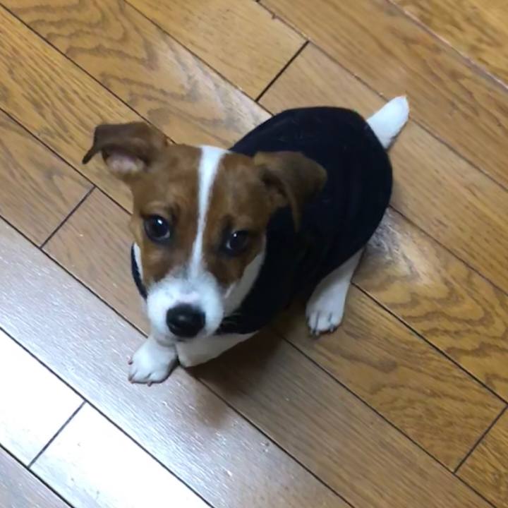 E27a73fb 56e6 4942 9451 096232d28324 1515800146980