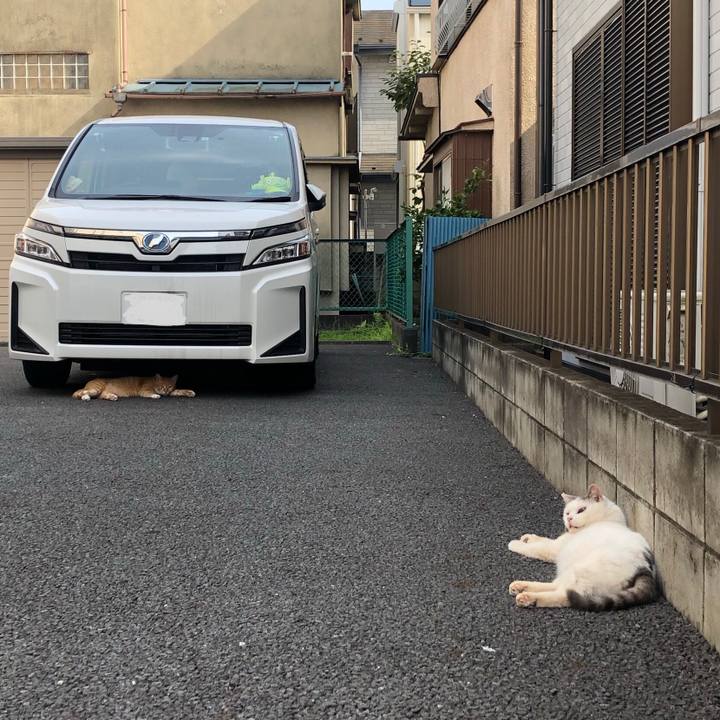 E27a7fb9 b0b4 4f58 b784 edbba432cb38 1595255057279